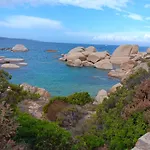 Turtle Am In Nord Sardinien Rena Majore