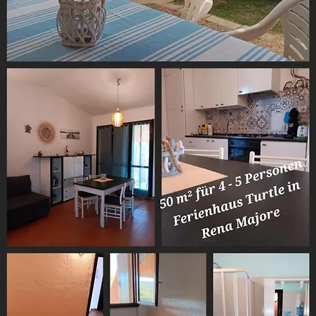 Turtle Am In Nord Sardinien